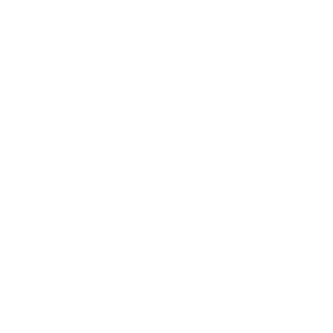 Portland and Vancouver Home Inspections Icon